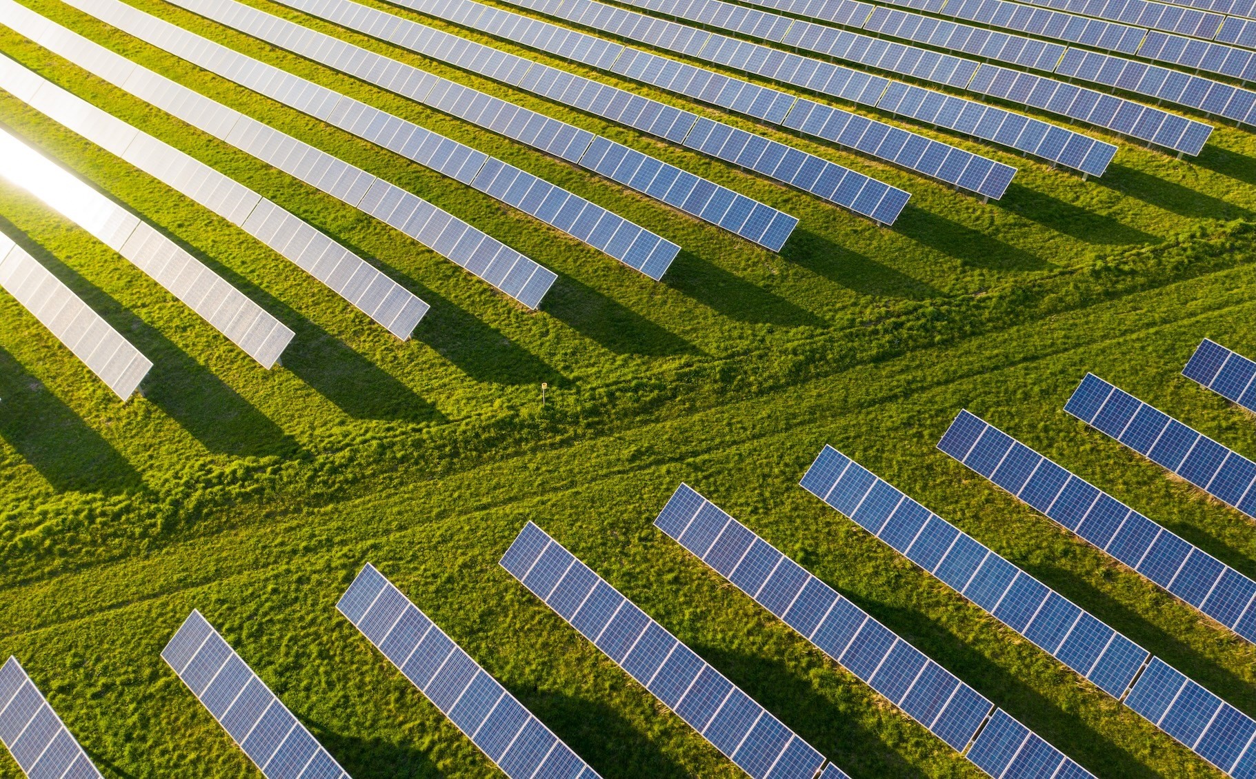 solar panels in field